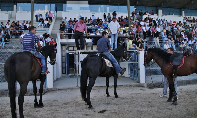 Corrida de Cavalos 2011