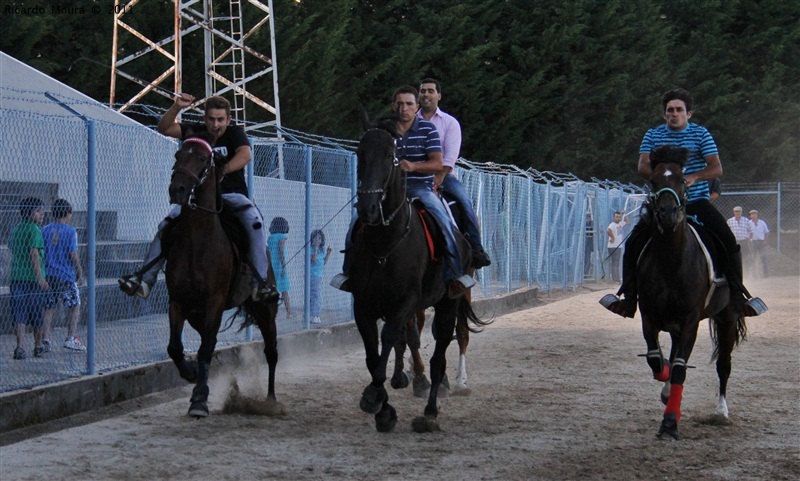 Corrida de Cavalos 2011