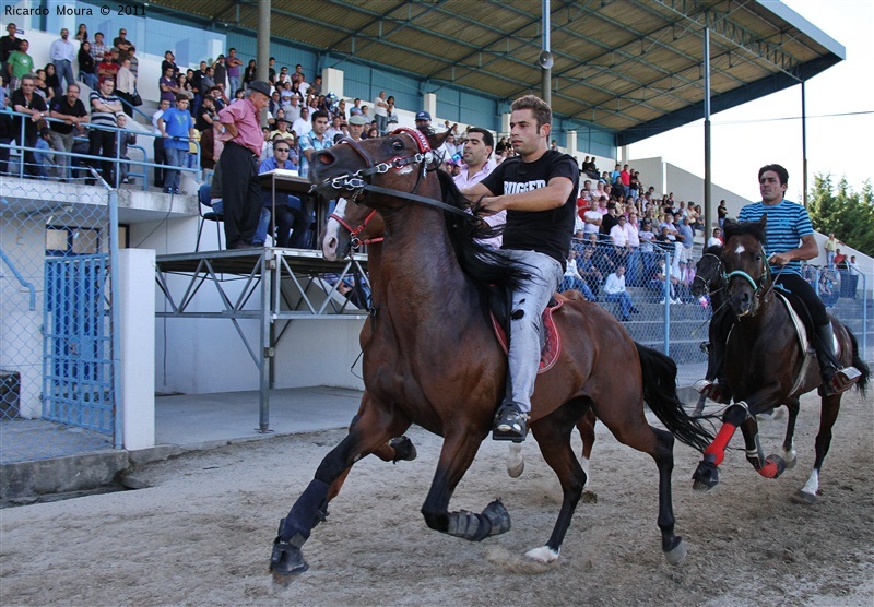 Corrida de Cavalos 2011