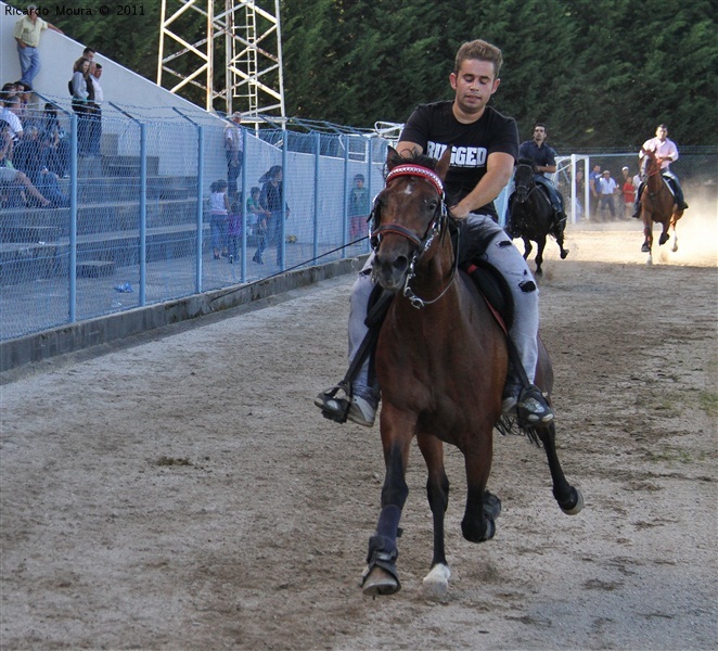 Corrida de Cavalos 2011