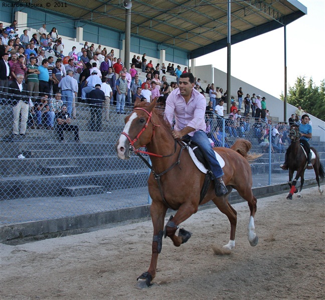 Corrida de Cavalos 2011