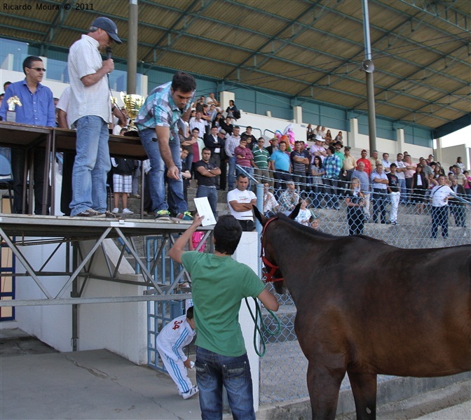 Corrida de Cavalos 2011