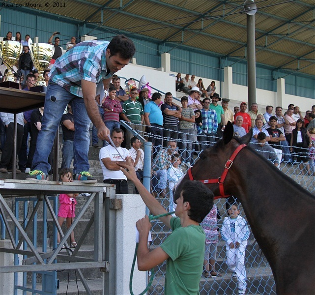 Corrida de Cavalos 2011