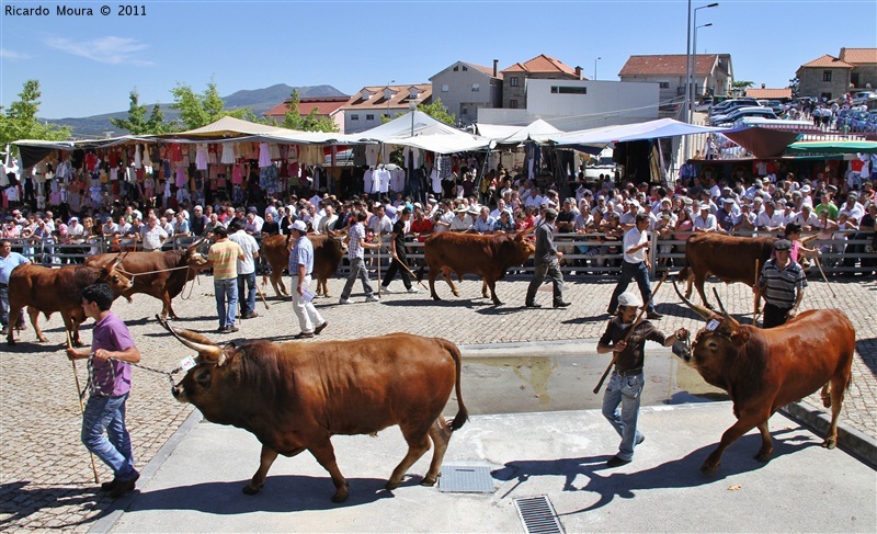 Montalegre - Feira do Prémio 2011