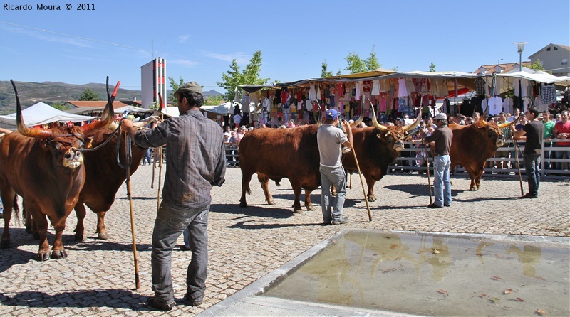 Montalegre - Feira do Prémio 2011