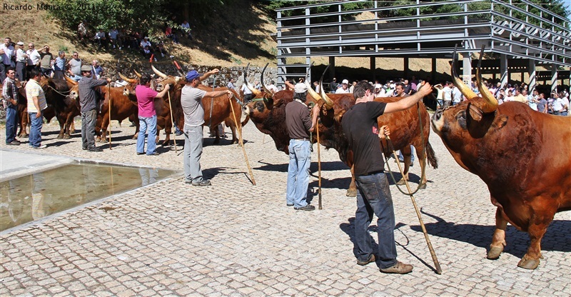 Montalegre - Feira do Prémio 2011