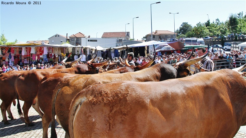 Montalegre - Feira do Prémio 2011