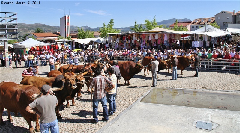 Montalegre - Feira do Prémio 2011