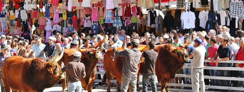 Montalegre - Feira do Prémio 2011