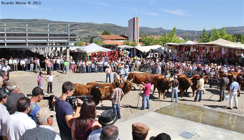 Montalegre - Feira do Prémio 2011