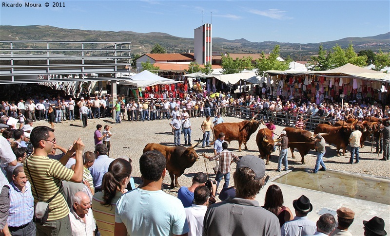 Montalegre - Feira do Prémio 2011