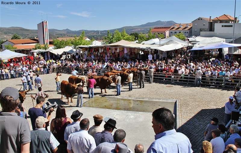 Montalegre - Feira do Prémio 2011