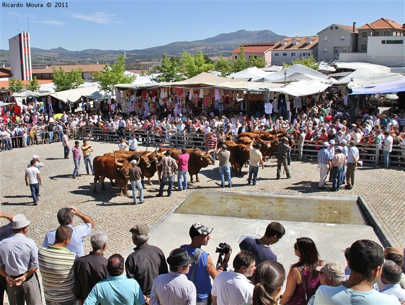 Montalegre - Feira do Prémio 2011