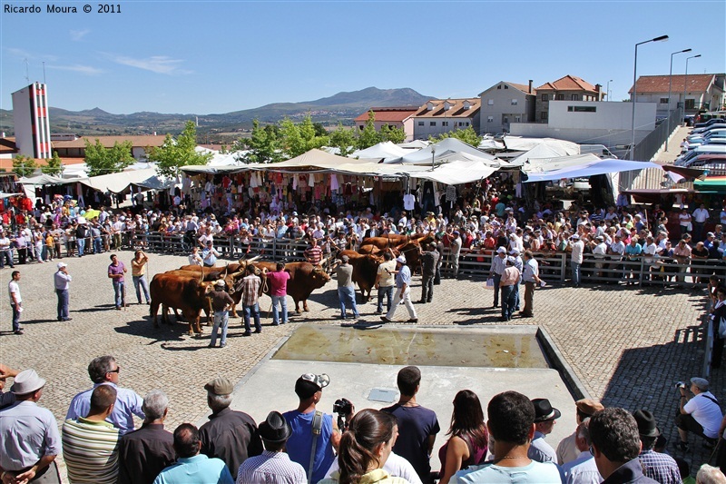 Montalegre - Feira do Prémio 2011