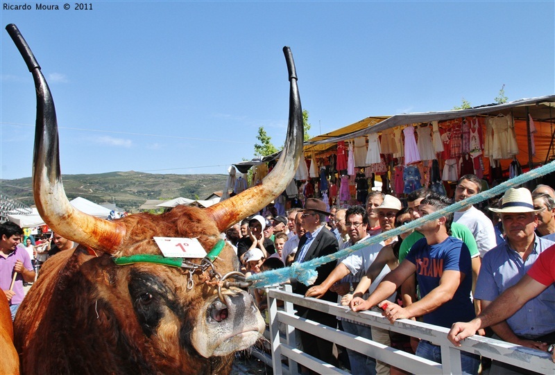 Montalegre - Feira do Prémio 2011