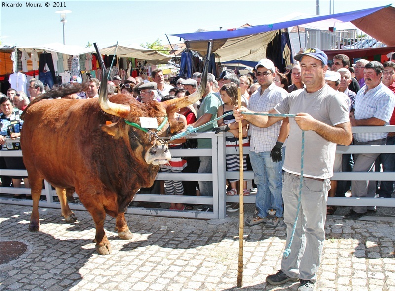 Montalegre - Feira do Prémio 2011