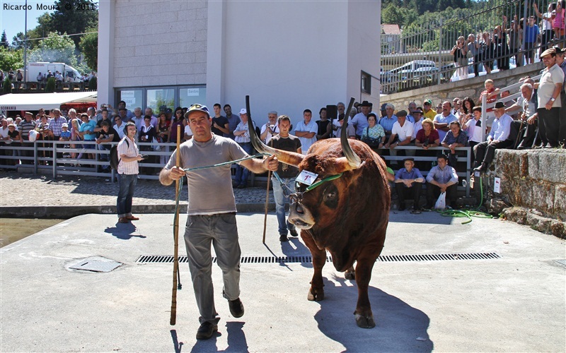 Montalegre - Feira do Prémio 2011