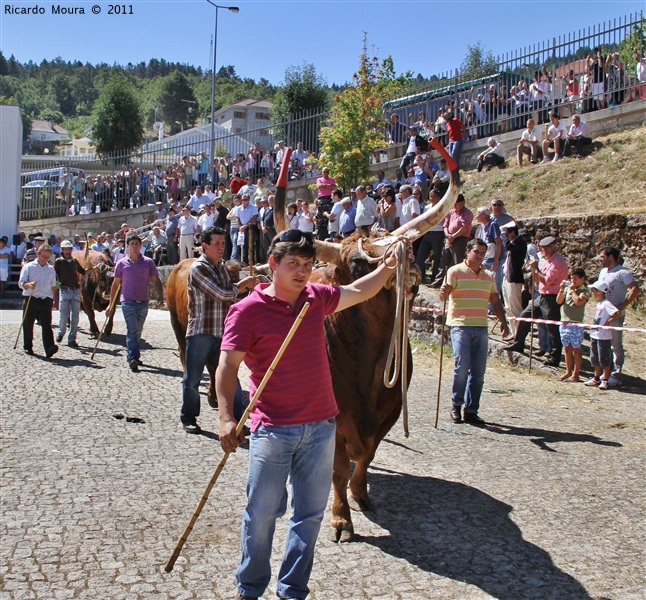 Montalegre - Feira do Prémio 2011