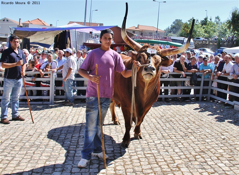 Montalegre - Feira do Prémio 2011