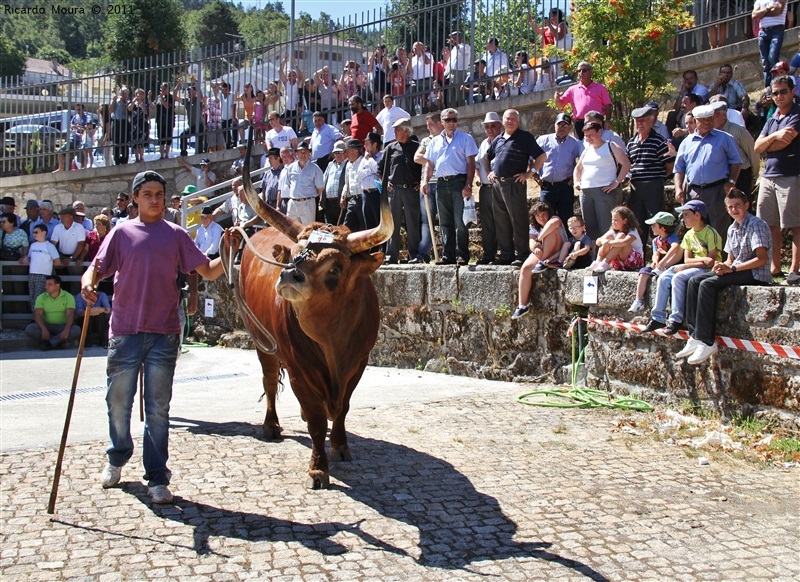 Montalegre - Feira do Prémio 2011