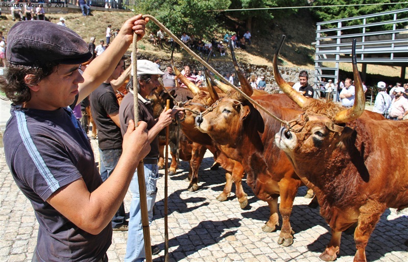 Montalegre - Feira do Prémio 2011