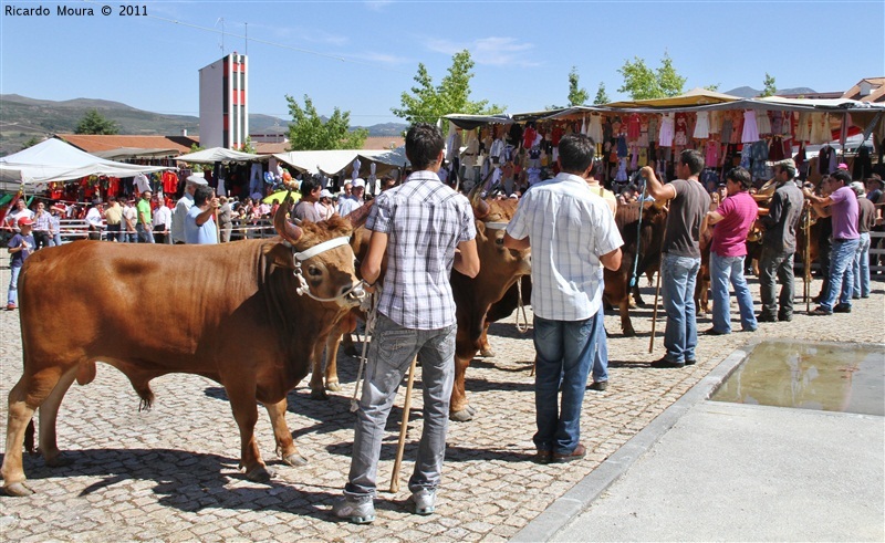 Montalegre - Feira do Prémio 2011