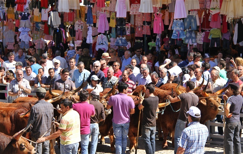 Montalegre - Feira do Prémio 2011