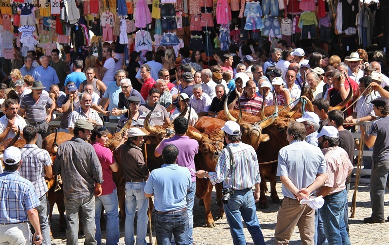 Montalegre - Feira do Prémio 2011