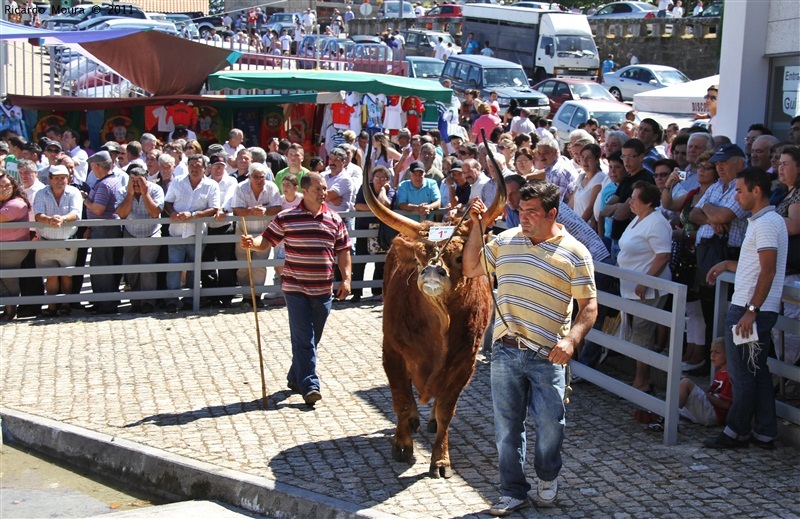 Montalegre - Feira do Prémio 2011