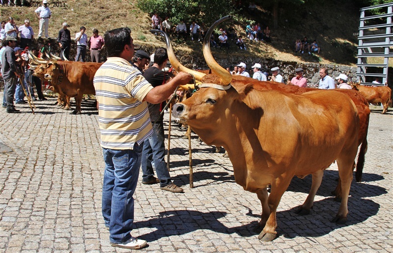 Montalegre - Feira do Prémio 2011