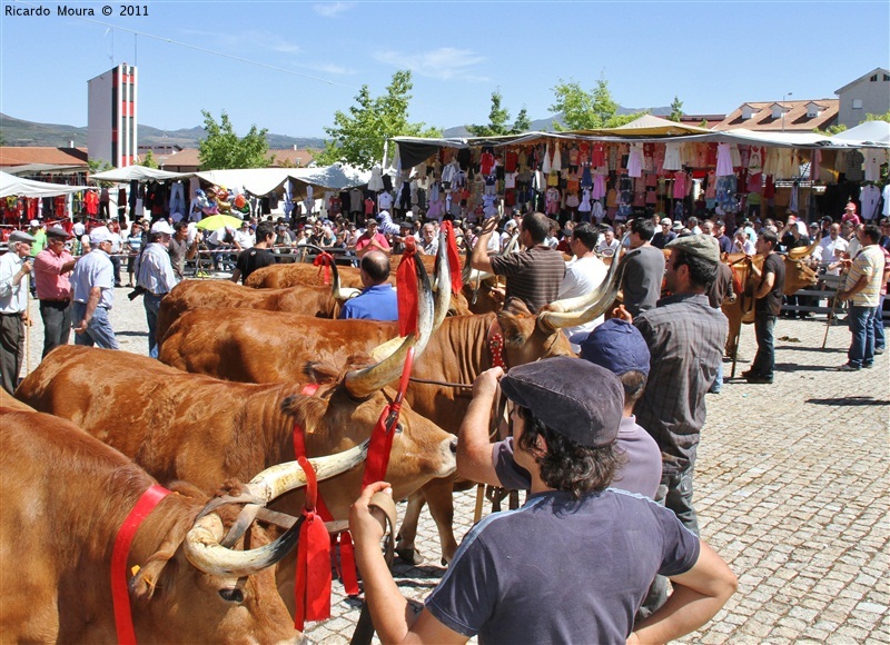 Montalegre - Feira do Prémio 2011