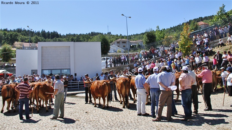 Montalegre - Feira do Prémio 2011