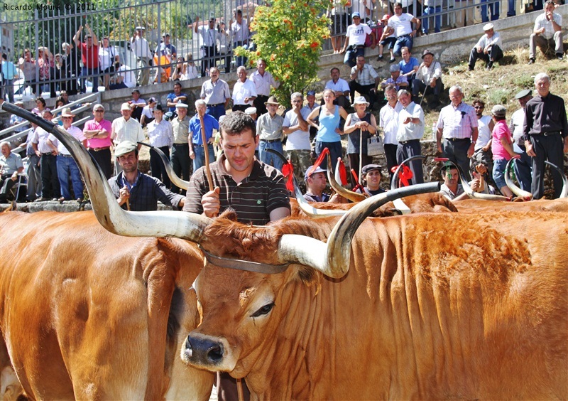 Montalegre - Feira do Prémio 2011