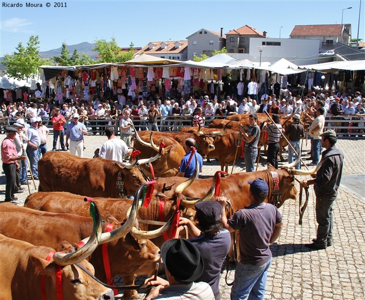 Montalegre - Feira do Prémio 2011