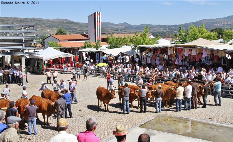 Montalegre - Feira do Prémio 2011