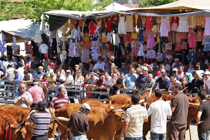 Montalegre - Feira do Prémio 2011