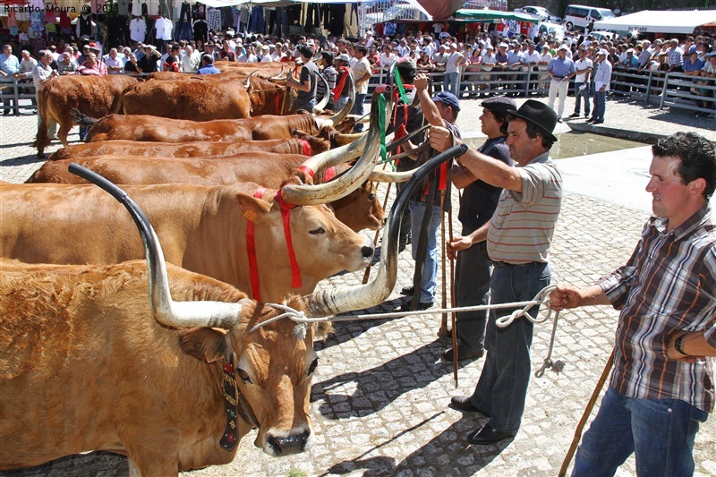 Montalegre - Feira do Prémio 2011