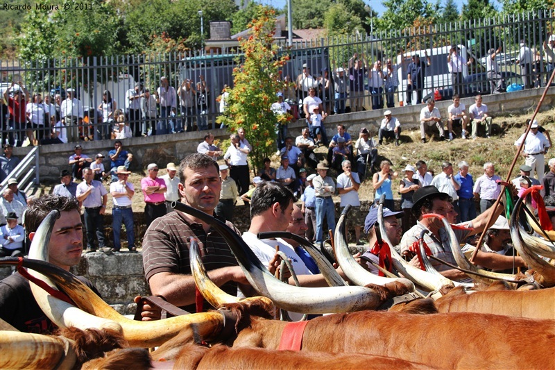 Montalegre - Feira do Prémio 2011