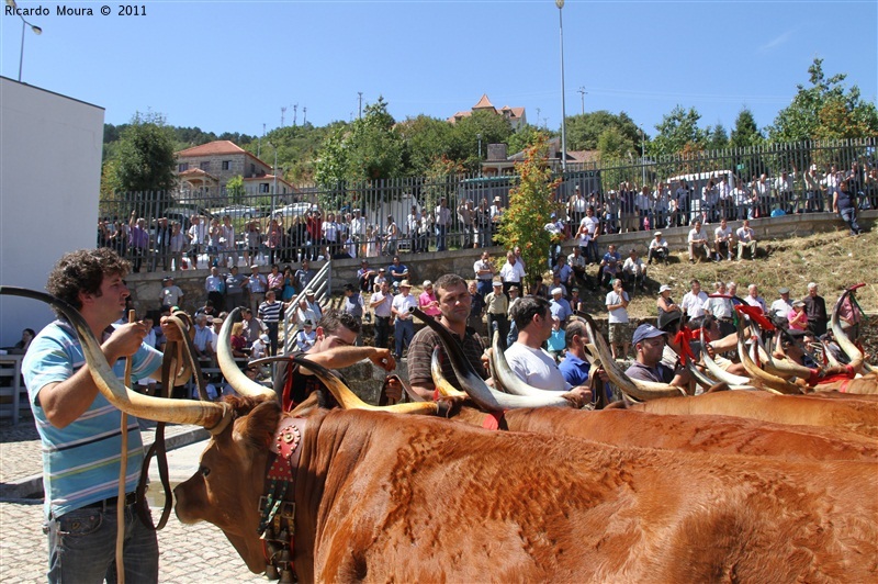 Montalegre - Feira do Prémio 2011