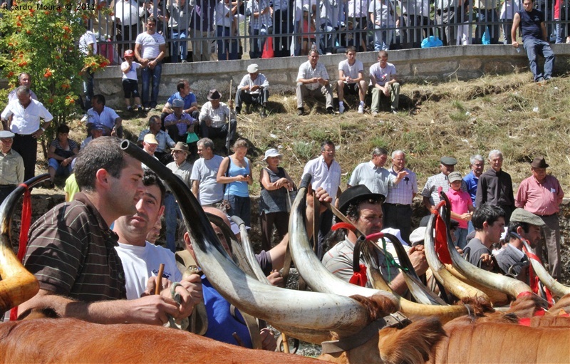 Montalegre - Feira do Prémio 2011