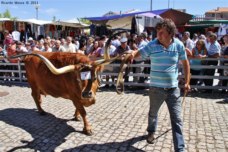 Montalegre - Feira do Prémio 2011