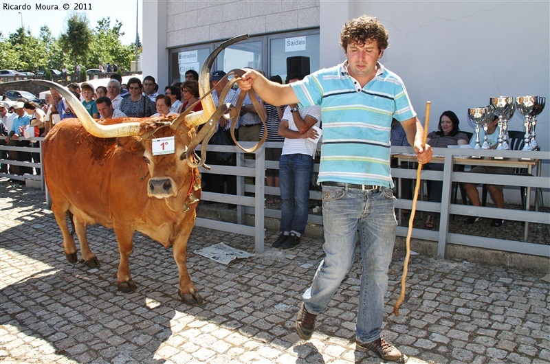 Montalegre - Feira do Prémio 2011