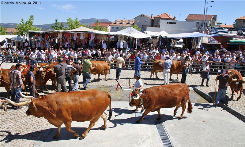 Montalegre - Feira do Prémio 2011