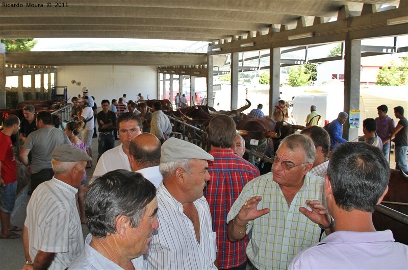 Montalegre - Feira do Prémio 2011