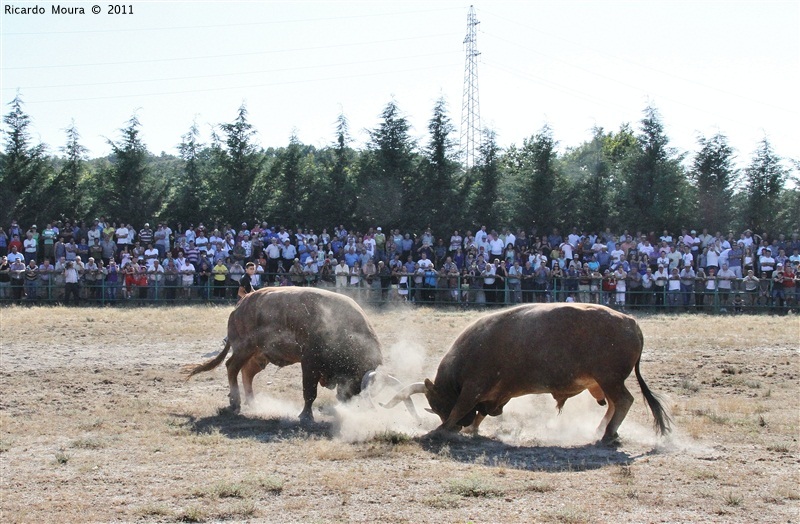 Torneio Chegas de Bois 2011