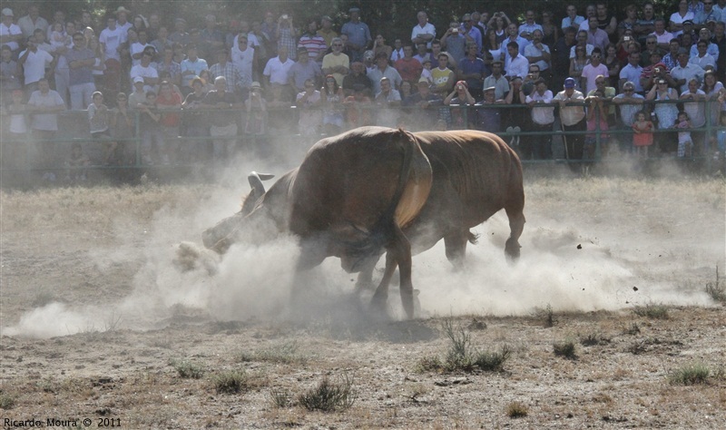 Torneio Chegas de Bois 2011