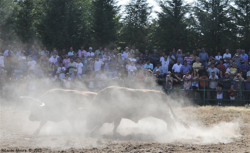 Torneio Chegas de Bois 2011