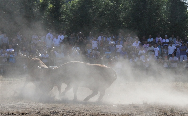 Torneio Chegas de Bois 2011