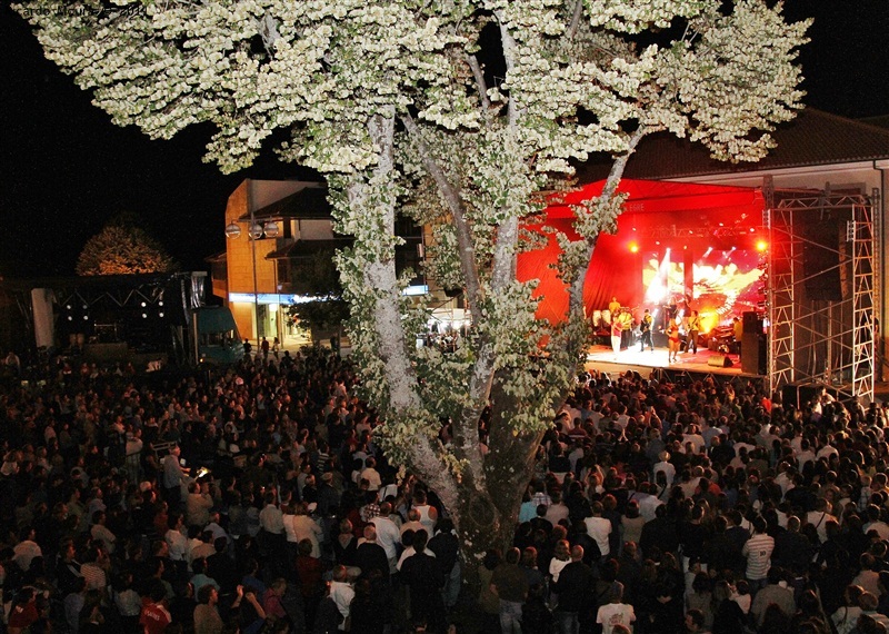 José Malhoa esgota Praça do Município