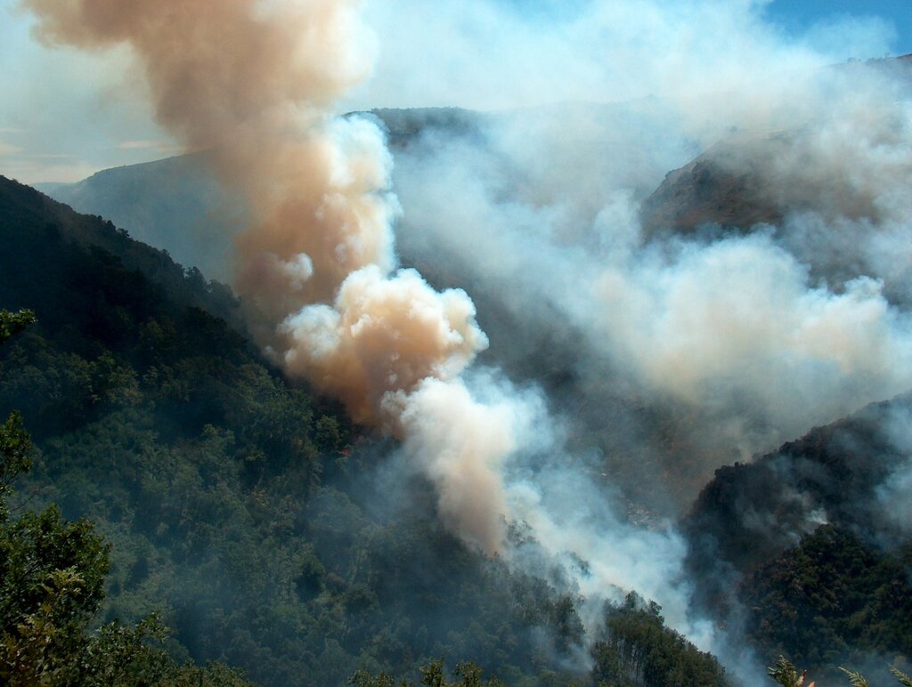 Incêndios - um flagelo que mina o futuro